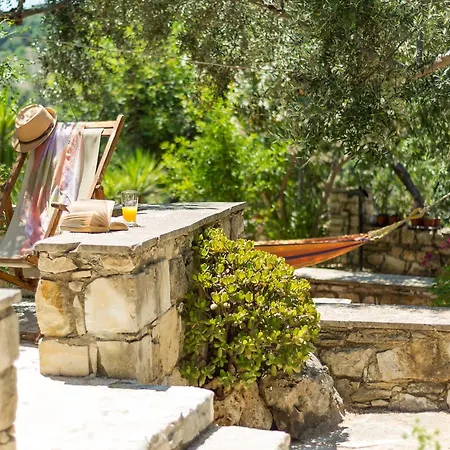 Natalia's Guest house