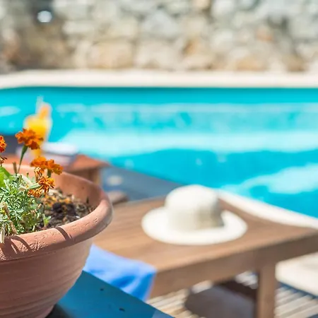 Natalia's Guest house 4*