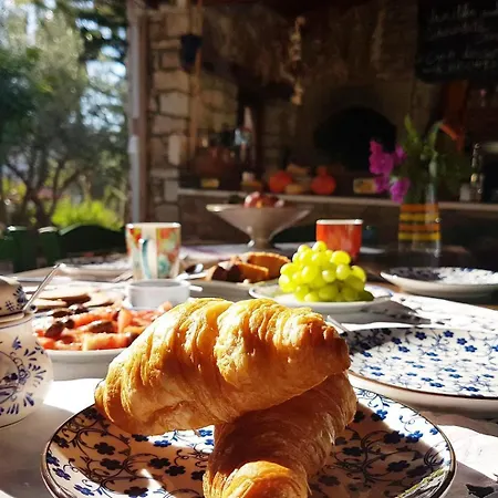 Natalia's 4* ハニア